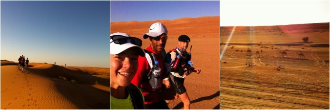 Amazing scenery up in the dunes first thing, running with Hamood and Jean-Luc, camels at camp after the finish